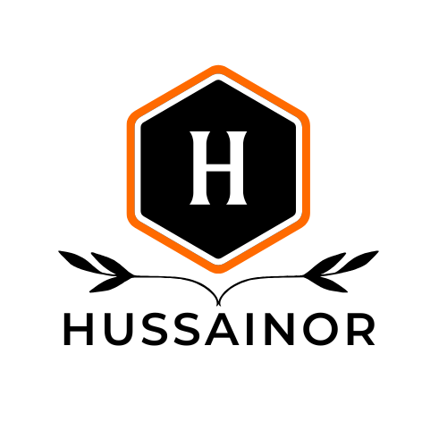 Hussainor Art
